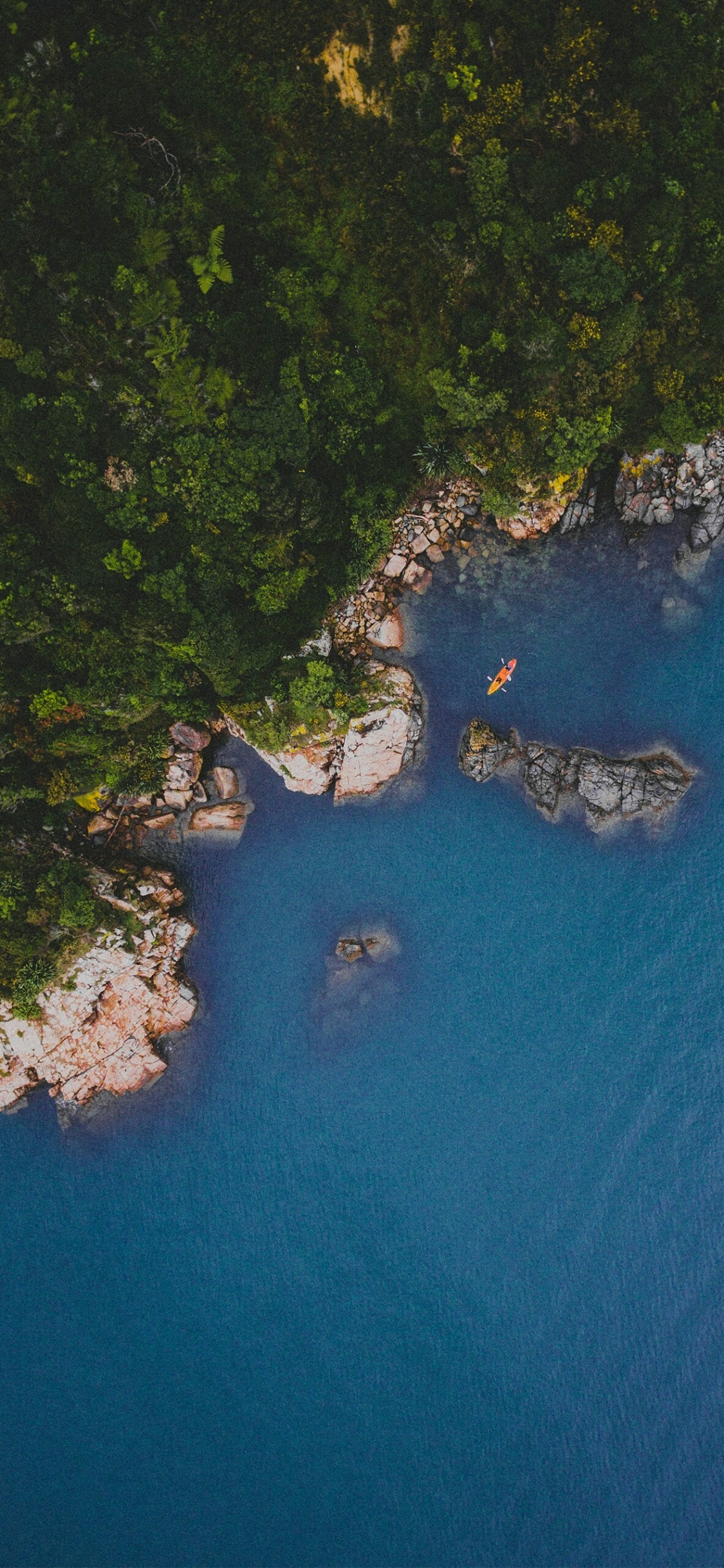 Обои гидроресурсы, телевидение, вода, растение, природный ландшафт в разрешении 1125x2436