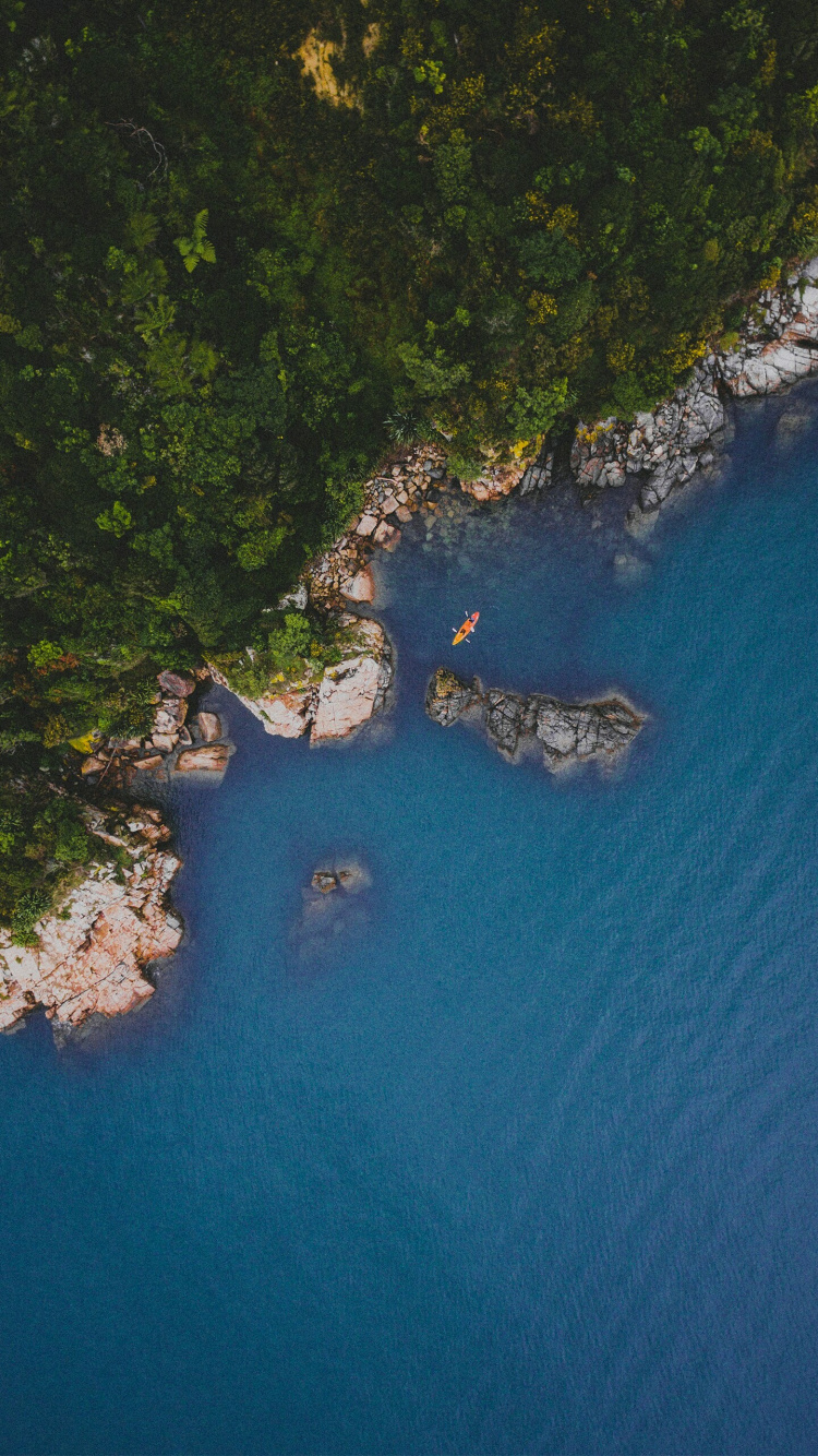 Обои гидроресурсы, телевидение, вода, растение, природный ландшафт в разрешении 750x1334