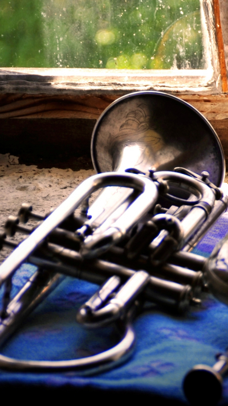 Обои эуфониум, трубный звук, медный духовой инструмент, Мелофон, Духовой инструмент в разрешении 750x1334