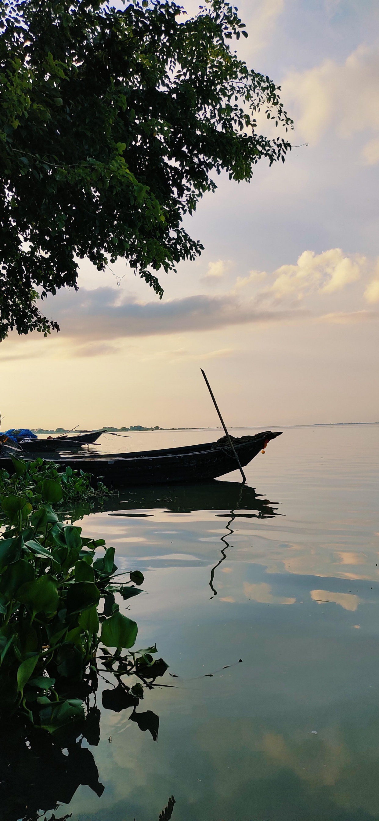 Обои вода, облако, лодка, гидроресурсы, растение в разрешении 1242x2688
