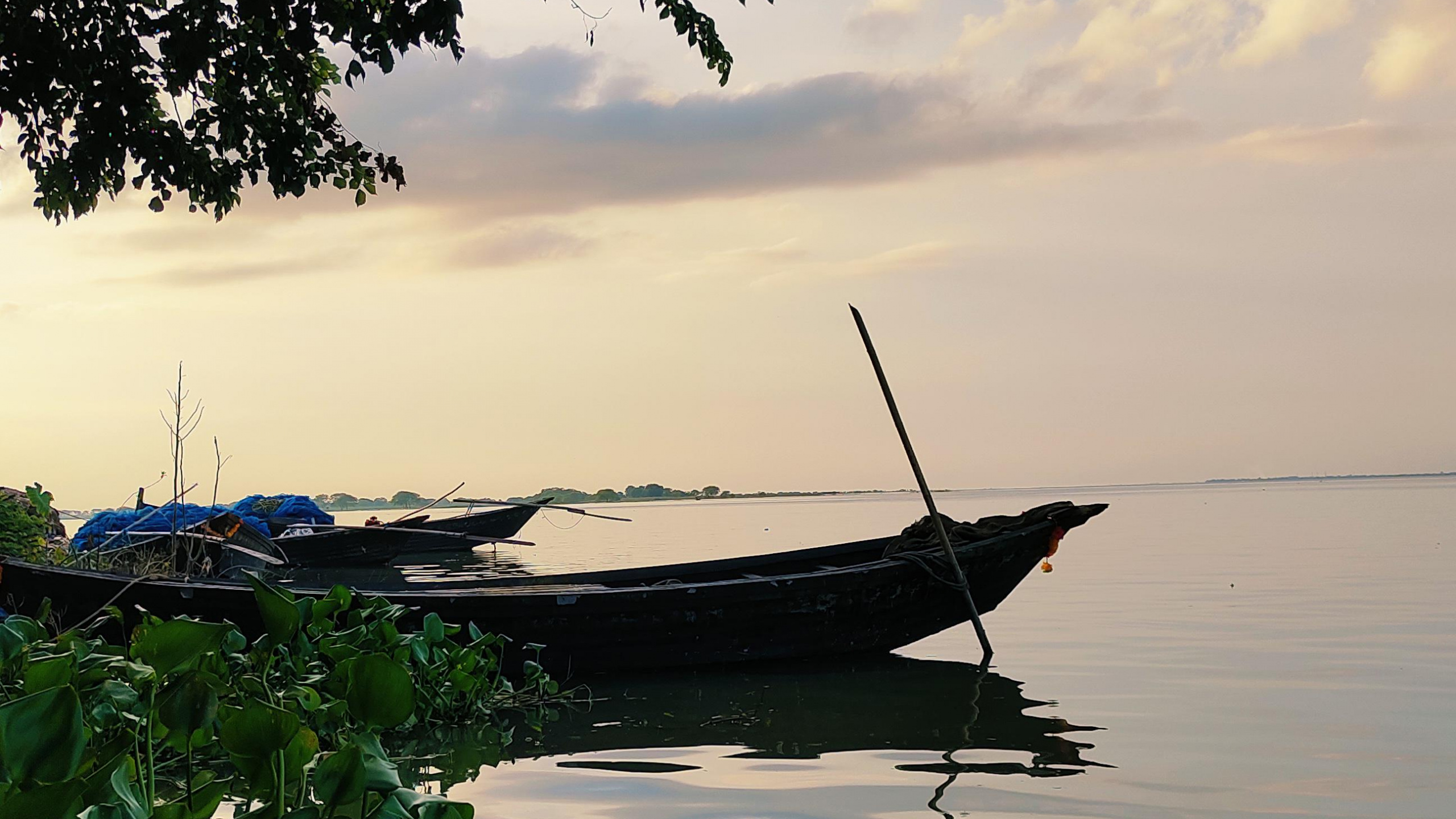 Обои вода, облако, лодка, гидроресурсы, растение в разрешении 2560x1440