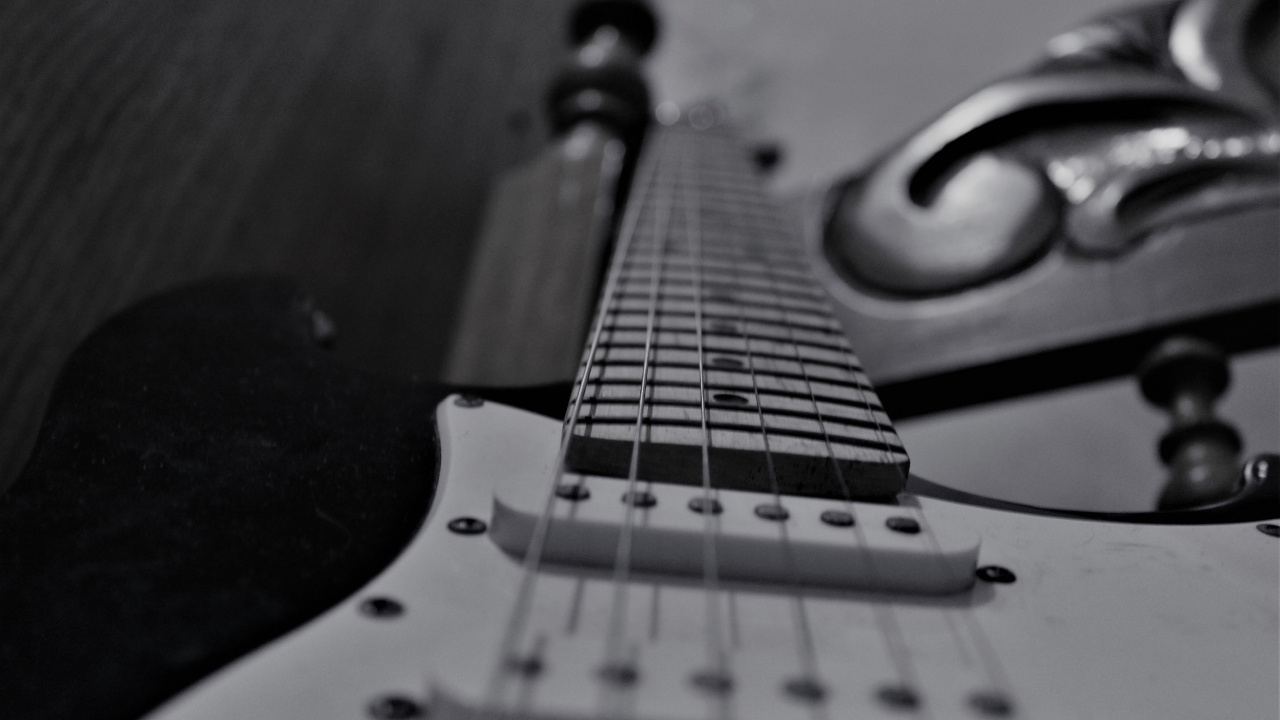 Обои басгитара, черный и белый, электрогитара, гитара, струнный инструмент в разрешении 1280x720