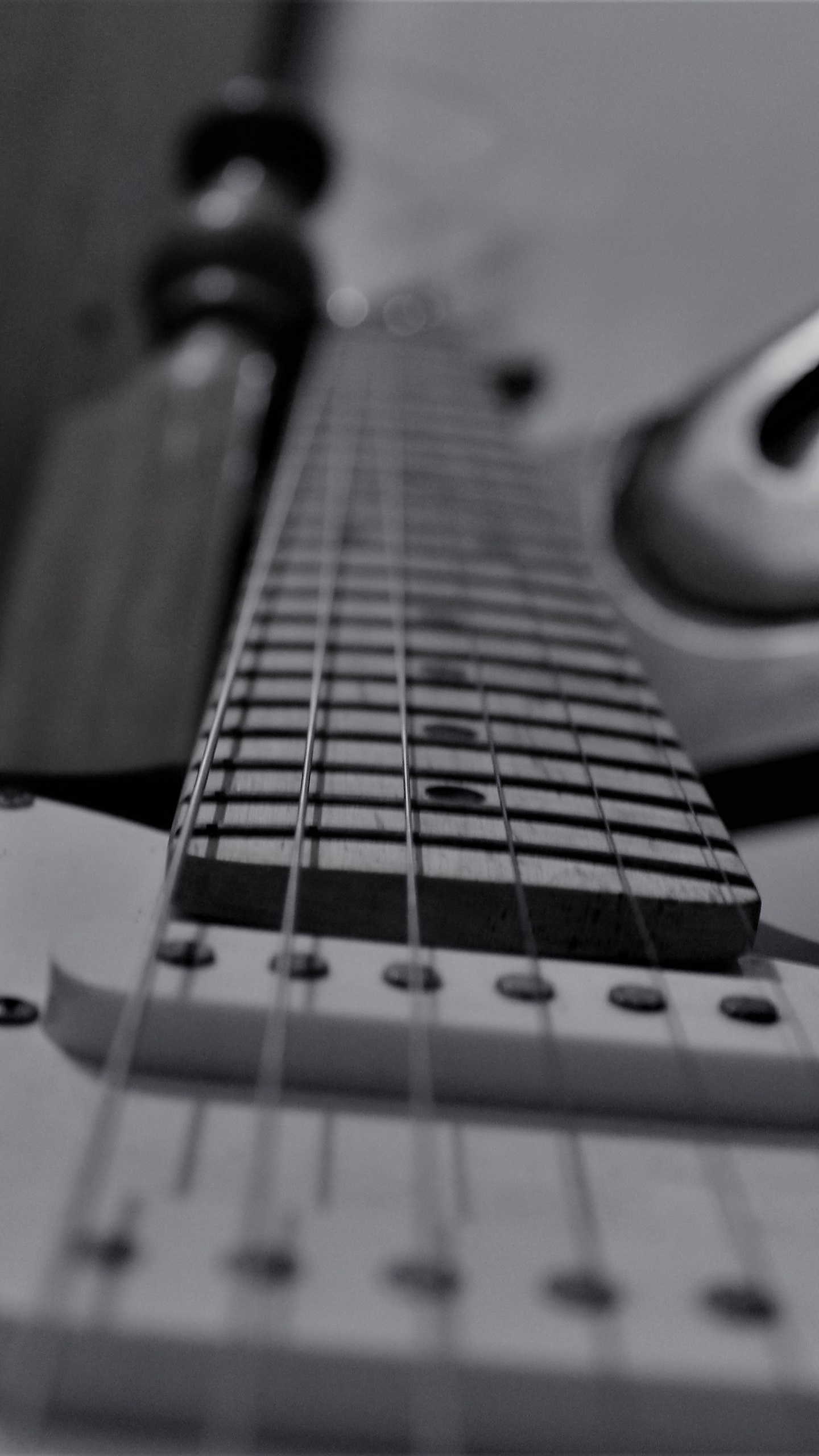 Обои басгитара, черный и белый, электрогитара, гитара, струнный инструмент в разрешении 1440x2560