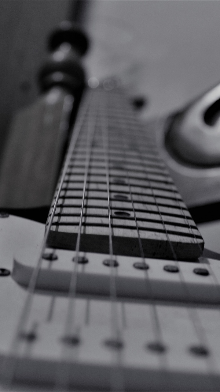 Обои басгитара, черный и белый, электрогитара, гитара, струнный инструмент в разрешении 720x1280