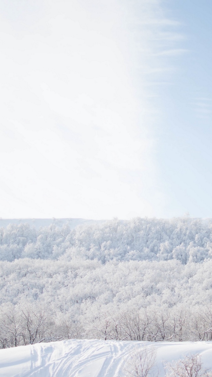 Обои снег, зима, замораживание, облако, мороз в разрешении 720x1280