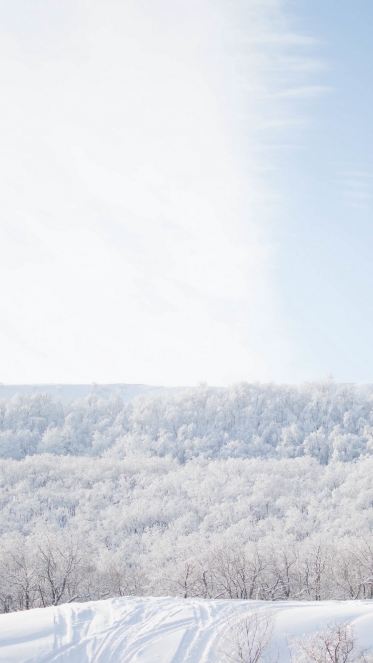 Обои снег, зима, замораживание, облако, мороз в разрешении 750x1334