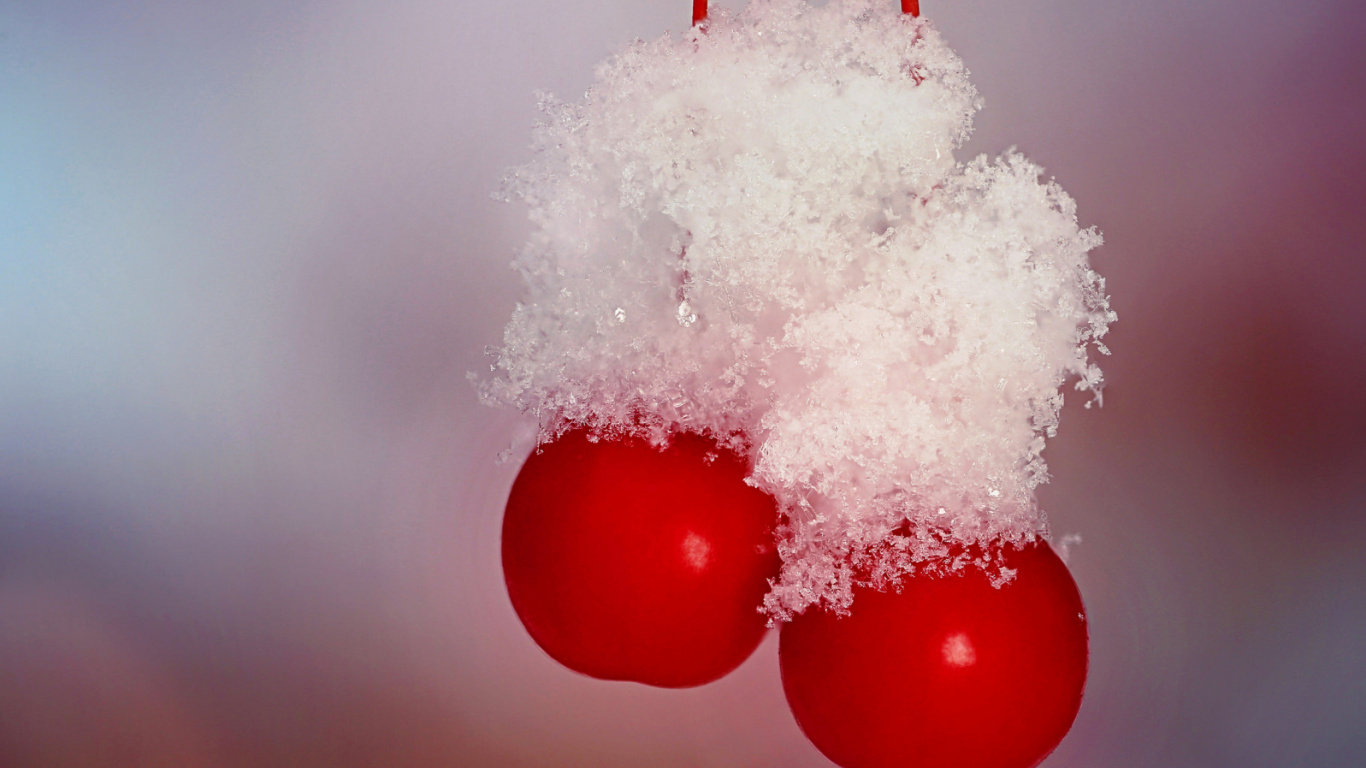 Обои вишня, ягоды, красный цвет, замораживание, фрукты в разрешении 1366x768