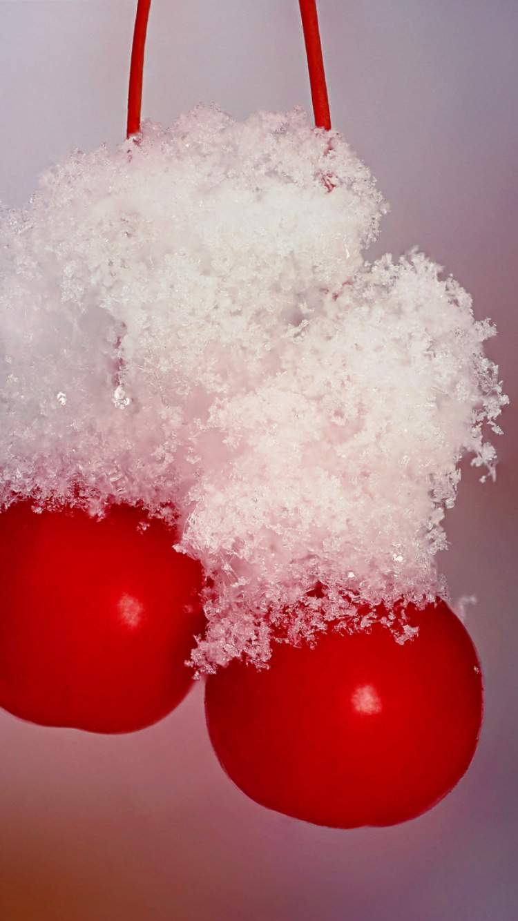 Обои вишня, ягоды, красный цвет, замораживание, фрукты в разрешении 750x1334