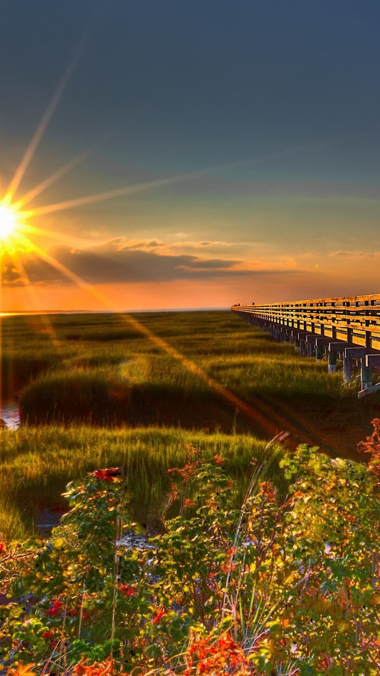 Обои природа, утро, солнечный свет, поле, небо в разрешении 750x1334