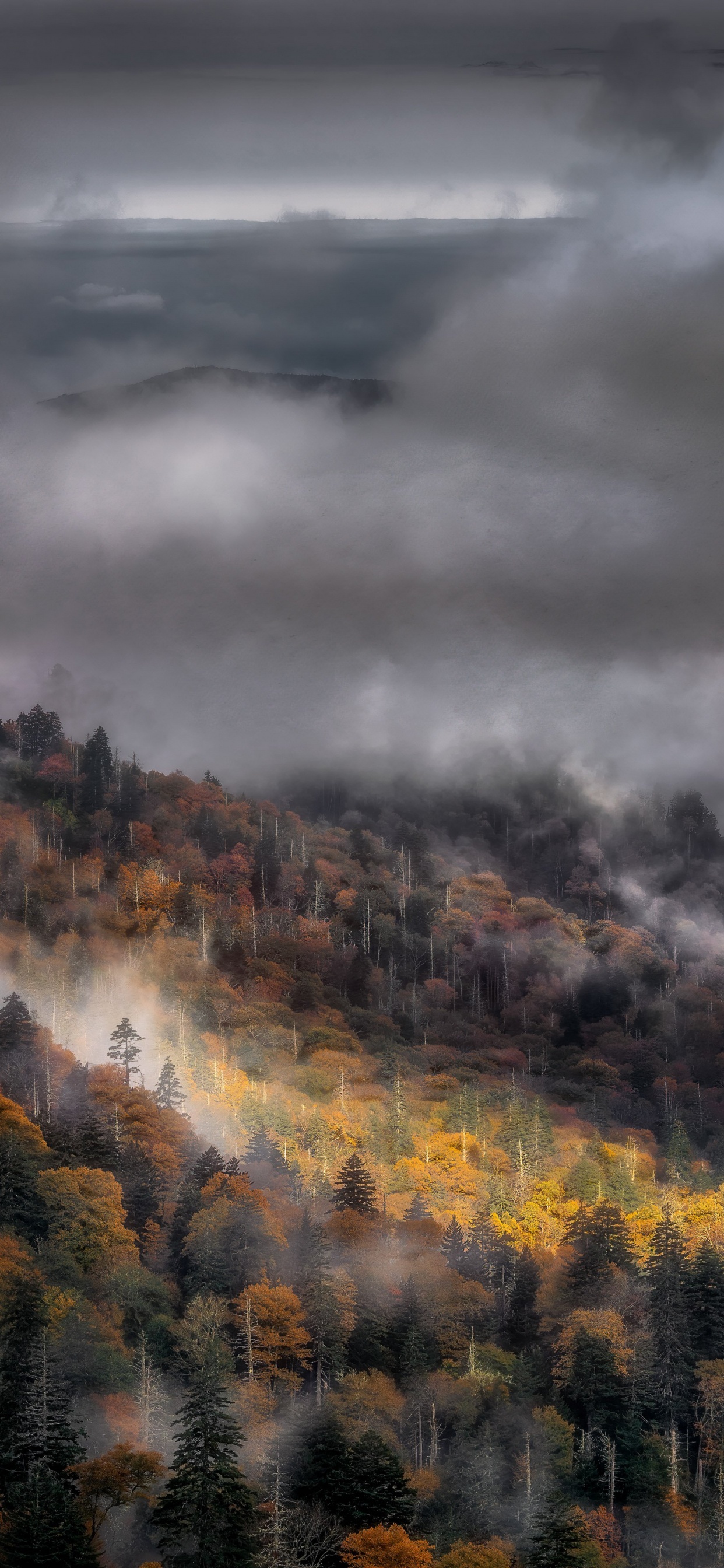 Обои атмосфера, облако, экорегион, природный ландшафт, солнечный свет в разрешении 1242x2688