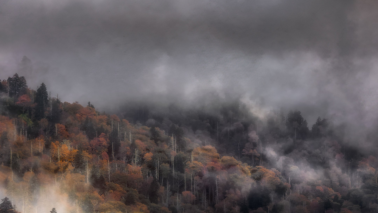 Обои атмосфера, облако, экорегион, природный ландшафт, солнечный свет в разрешении 1280x720