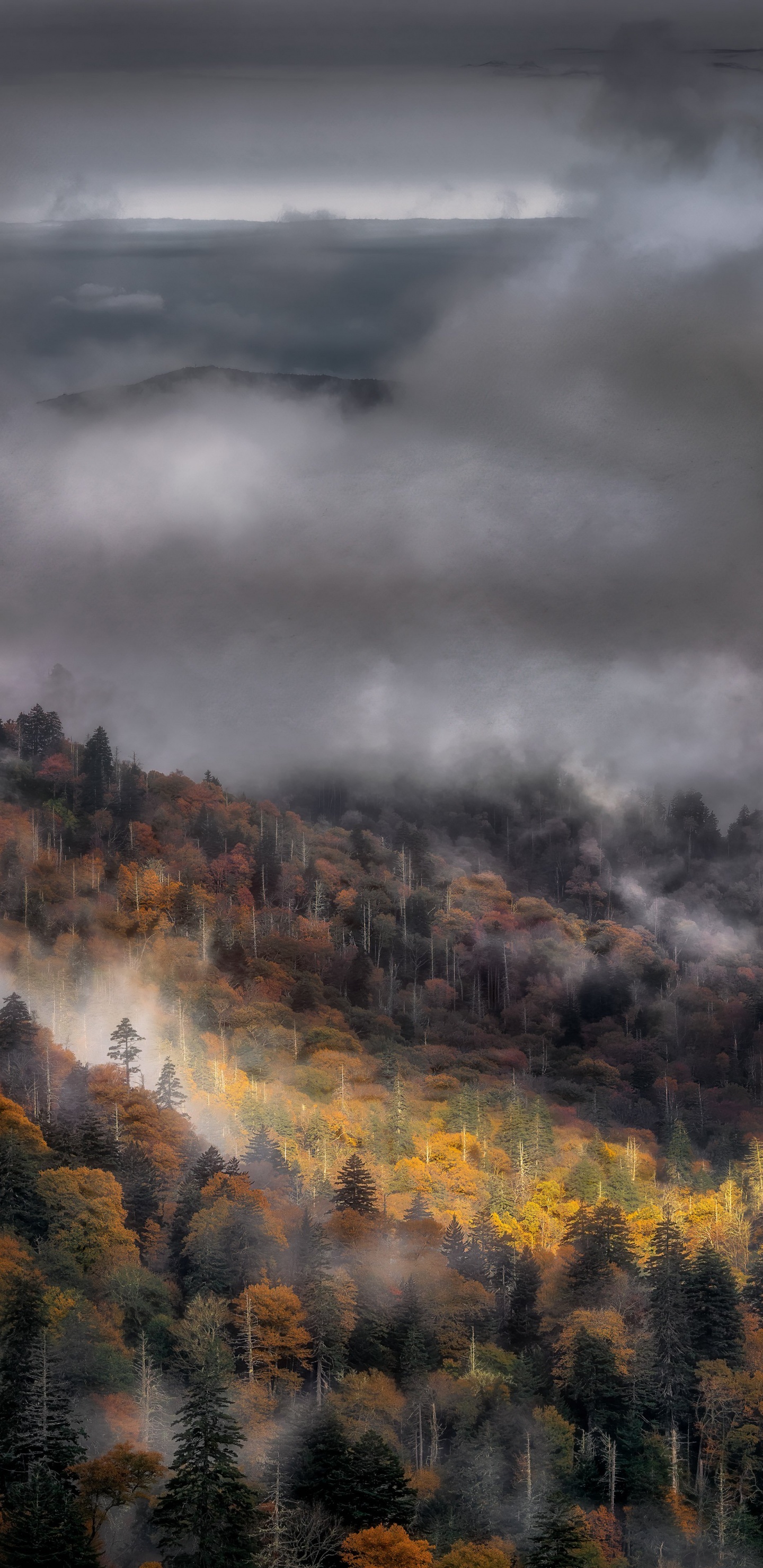 Обои атмосфера, облако, экорегион, природный ландшафт, солнечный свет в разрешении 1440x2960