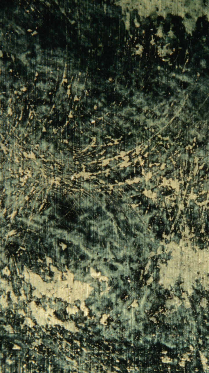 Обои растительность, почва, растение, рок, Структурные Стальные Конструкции в разрешении 720x1280