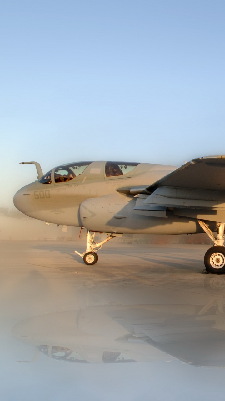 Обои самолеты, военный самолет, нортроп грумман, Грумман, самолет в разрешении 720x1280