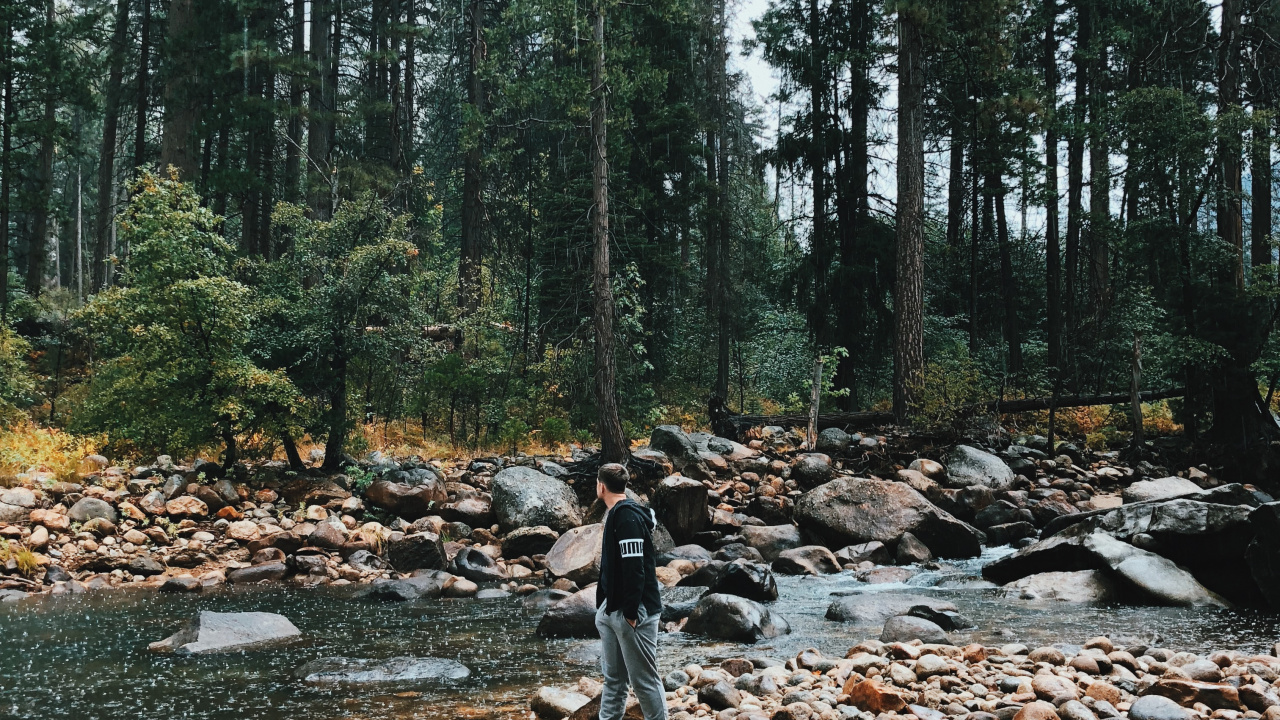 Обои дикая местность, вода, русло ручья, старовозрастные леса, окружающая среда в разрешении 1280x720