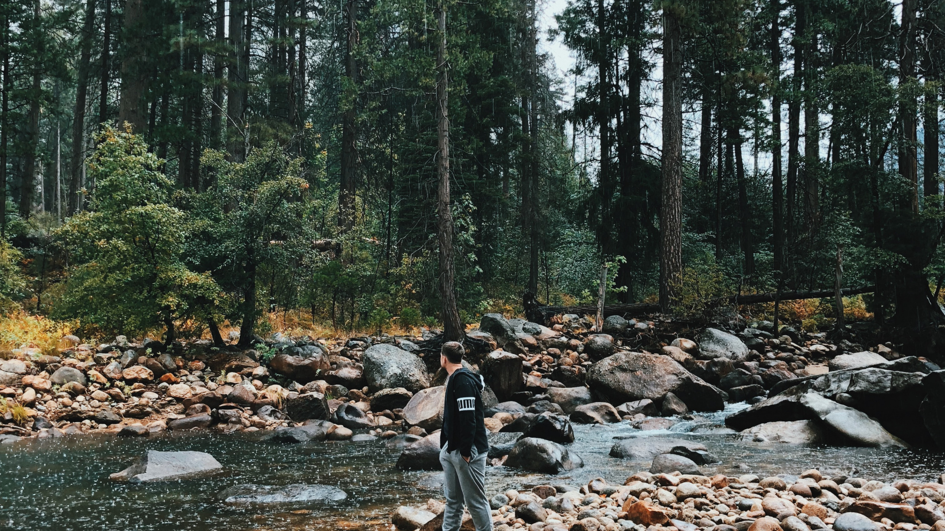 Обои дикая местность, вода, русло ручья, старовозрастные леса, окружающая среда в разрешении 1920x1080