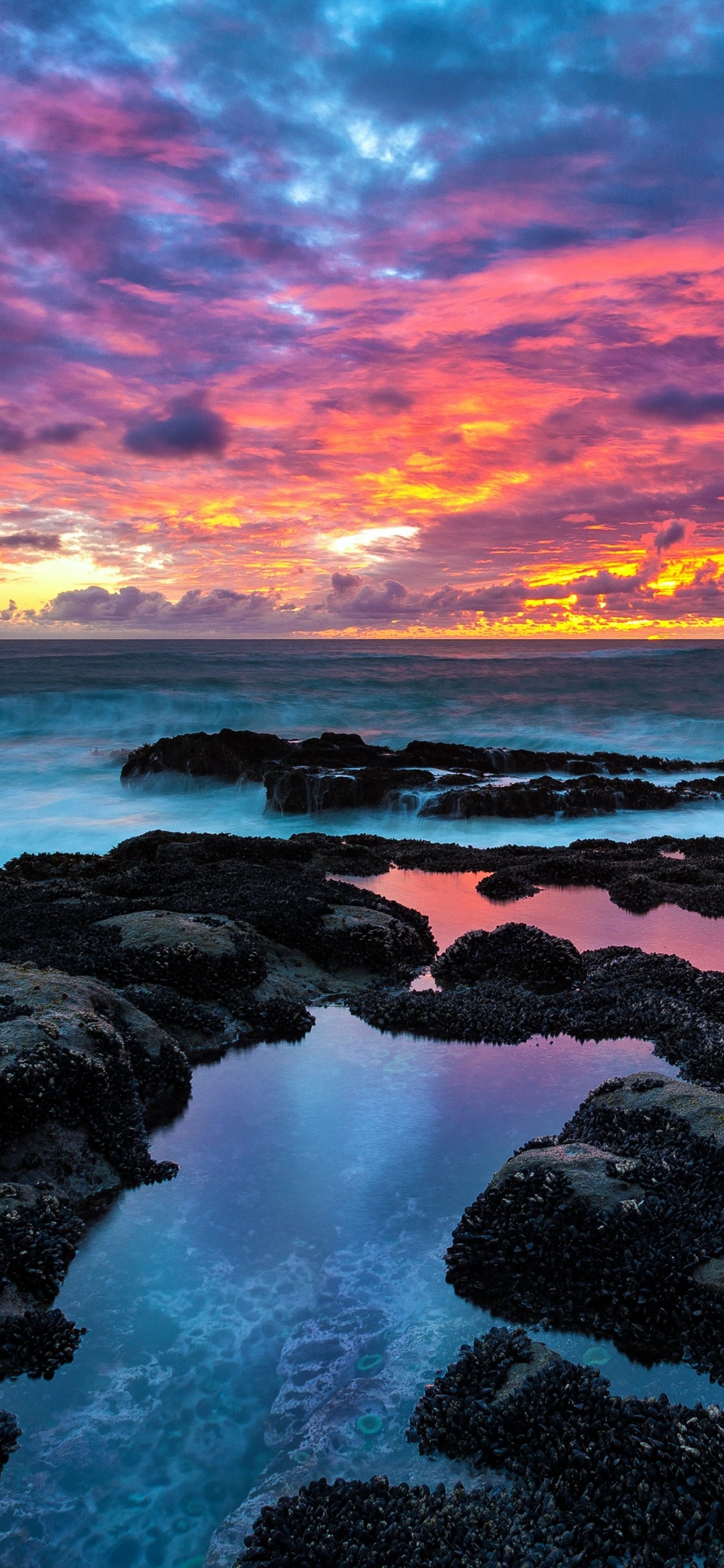 Обои море, океан, горизонт, берег, побережье в разрешении 1125x2436