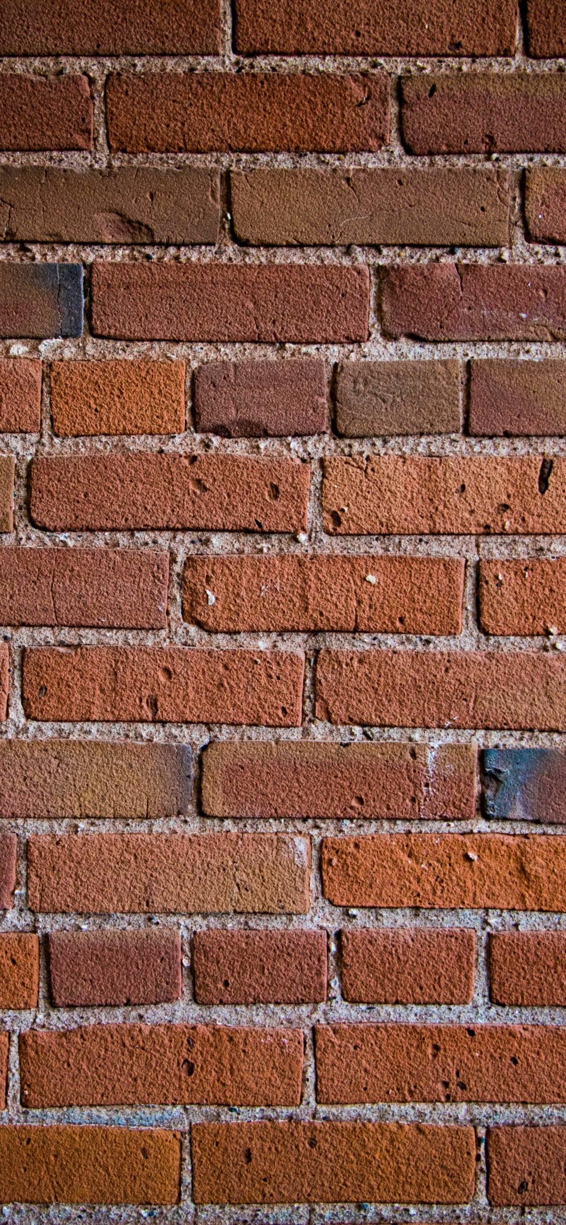 Обои кирпич, кирпичная кладка, стена, текстура в разрешении 1125x2436