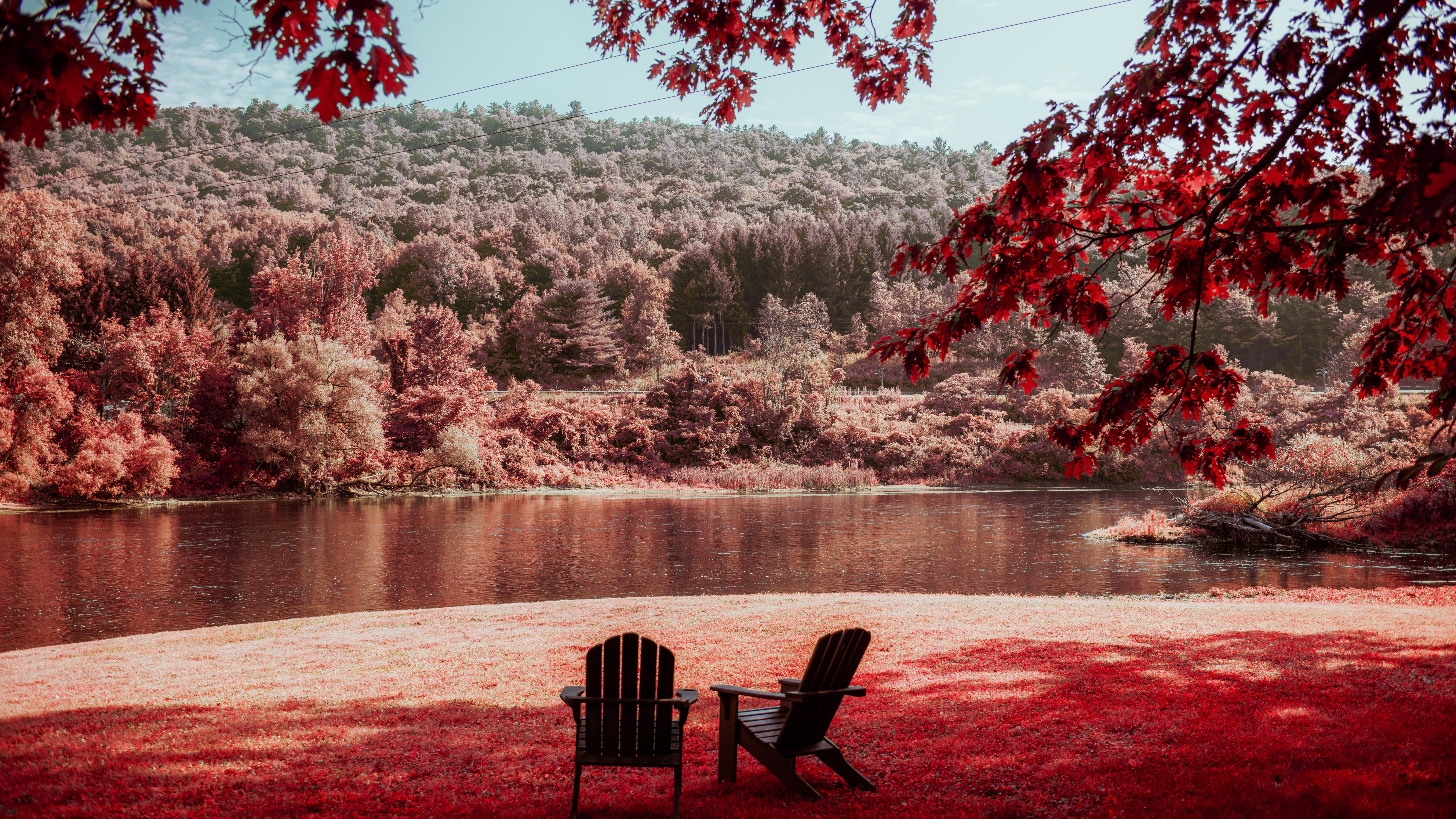 Обои лист, утро, дерево, красный цвет, природа в разрешении 7680x4320