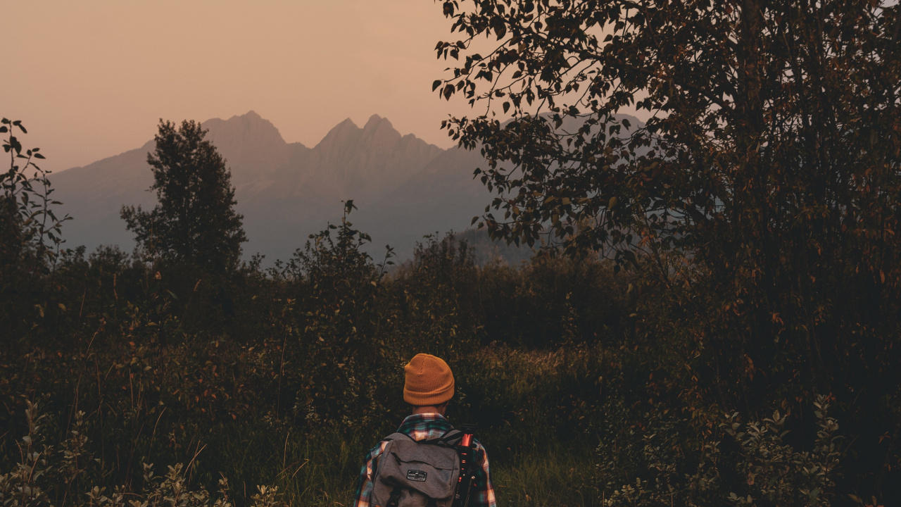 Обои сумерки сага, природа, лес, утро, дерево в разрешении 1280x720