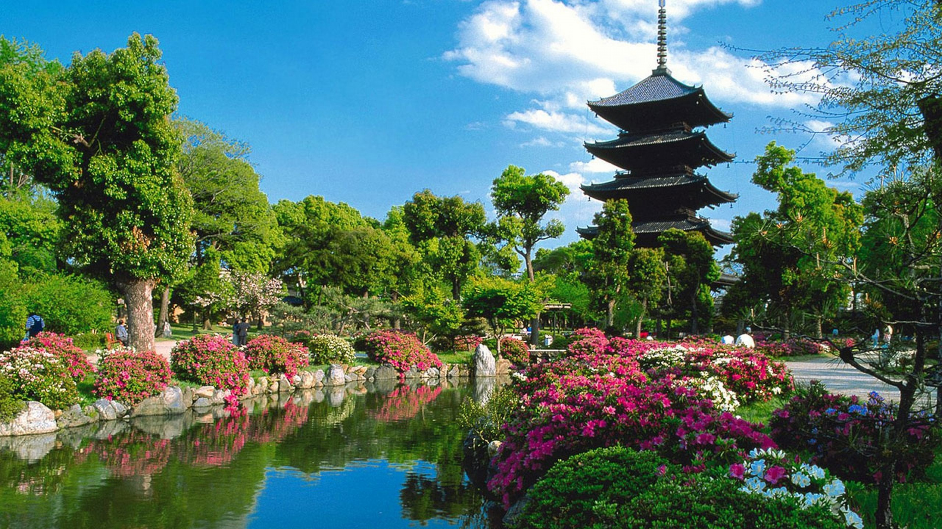 Обои сад, природа, Ботанический сад, растение, Дубай в разрешении 1920x1080