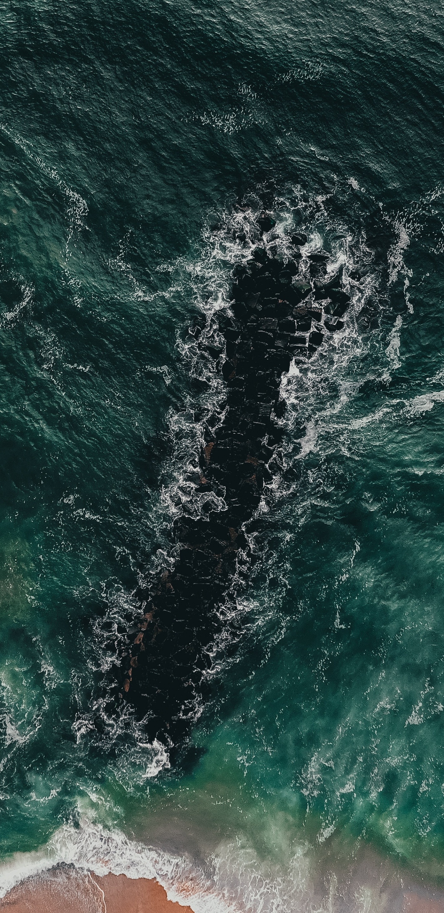 Обои побережье, море, океан, волна, ветровая волна в разрешении 1440x2960