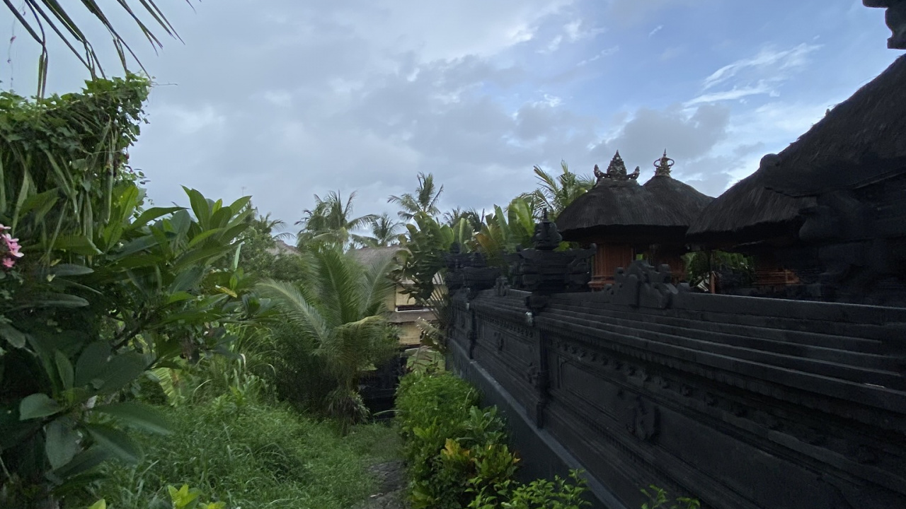 Обои бали, растительность, сельский район, плантация, сад в разрешении 1280x720