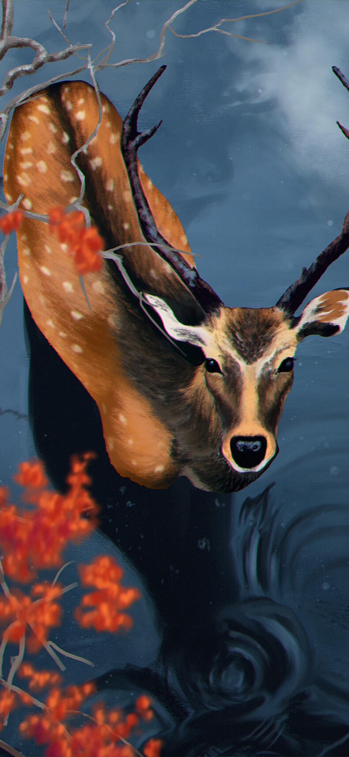 Обои Северный олень, олень, олений рог, импала, живая природа в разрешении 1125x2436