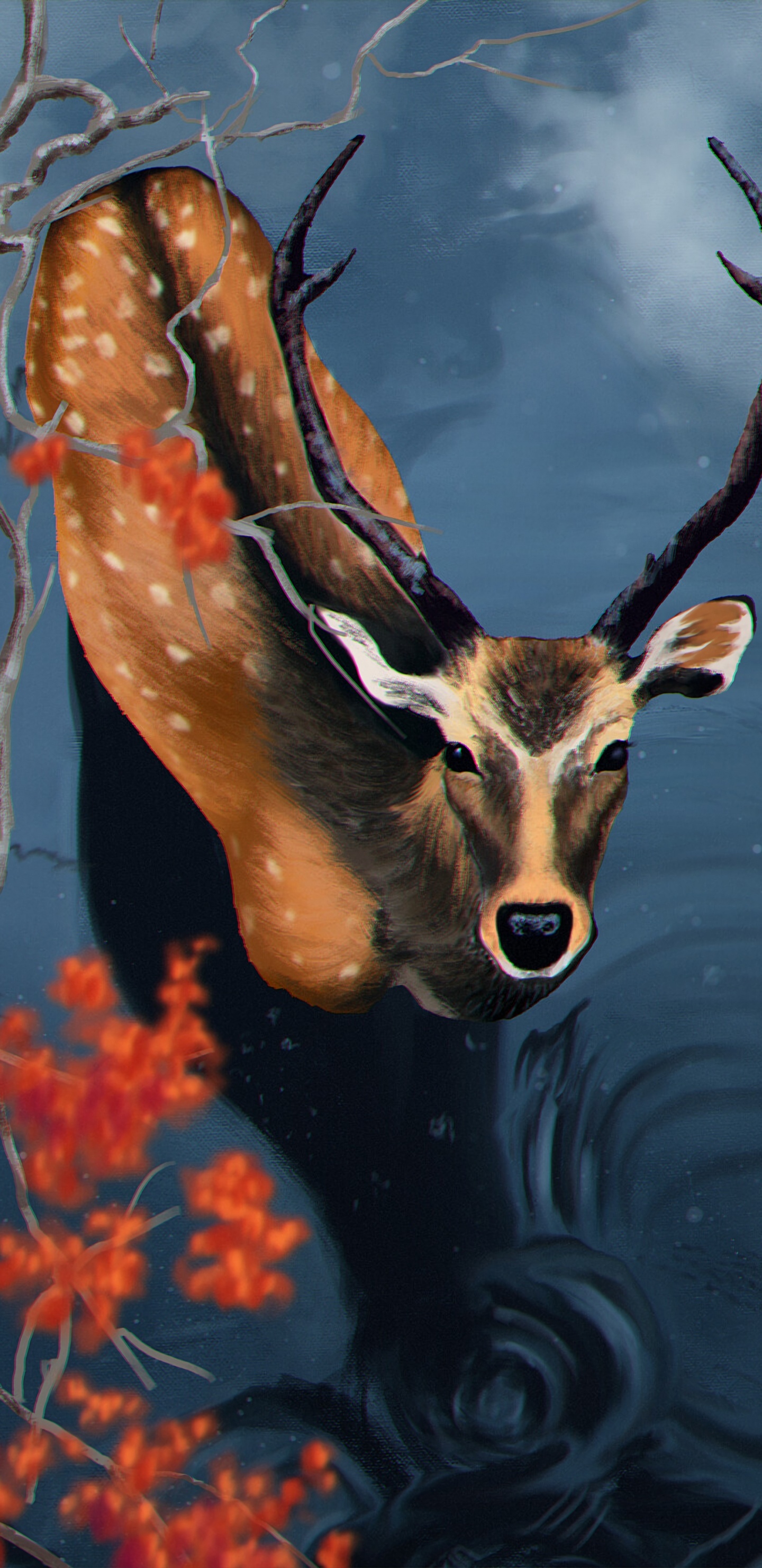 Обои Северный олень, олень, олений рог, импала, живая природа в разрешении 1440x2960