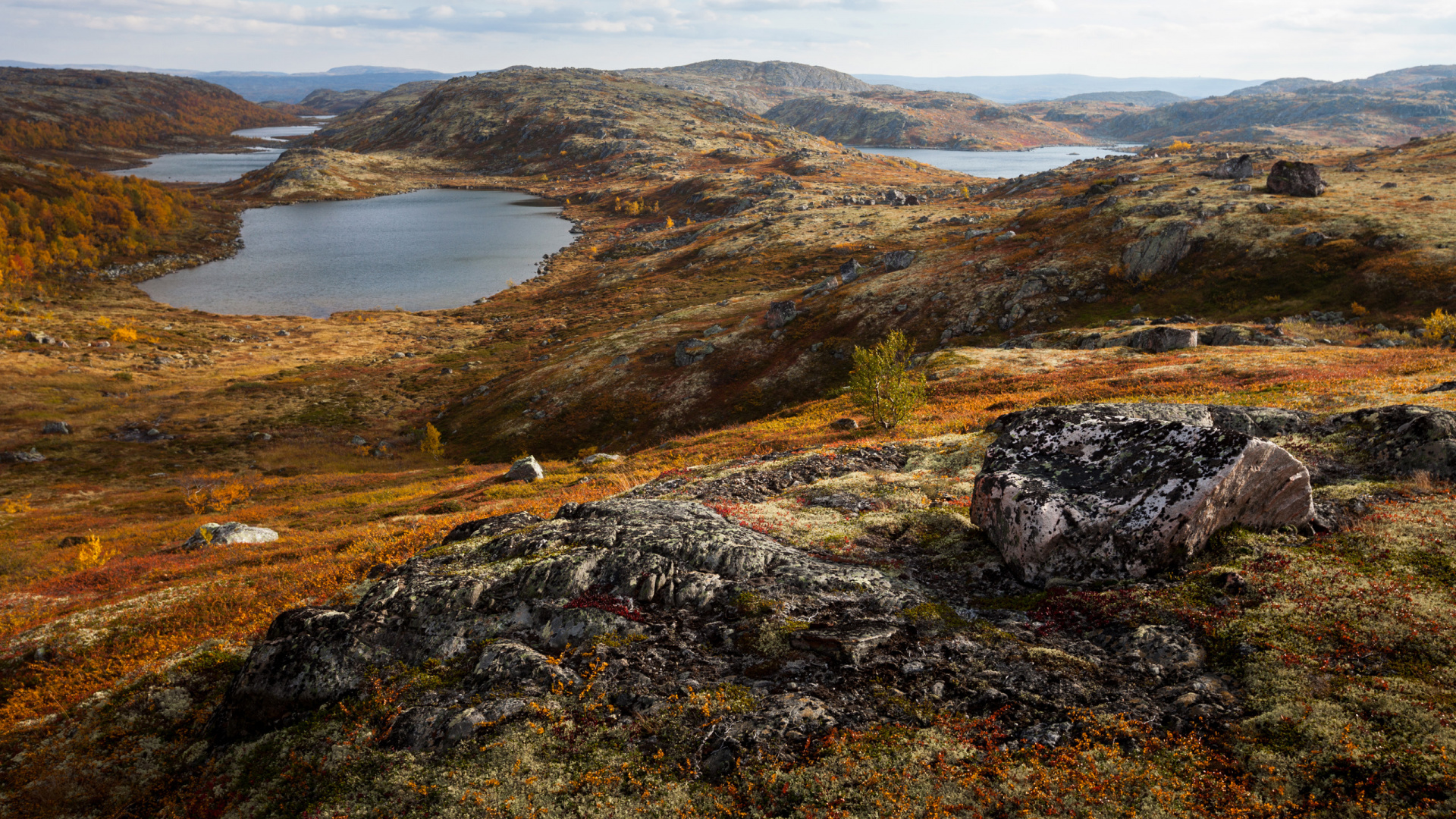 Обои Полуостров Рыбачий, Монче-тундра, Хибины, poluostrov sredniy, полуостров в разрешении 1920x1080