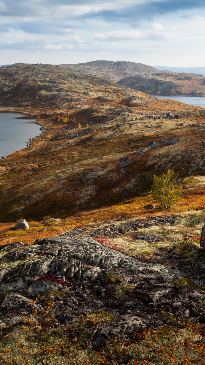 Обои Полуостров Рыбачий, Монче-тундра, Хибины, poluostrov sredniy, полуостров в разрешении 720x1280