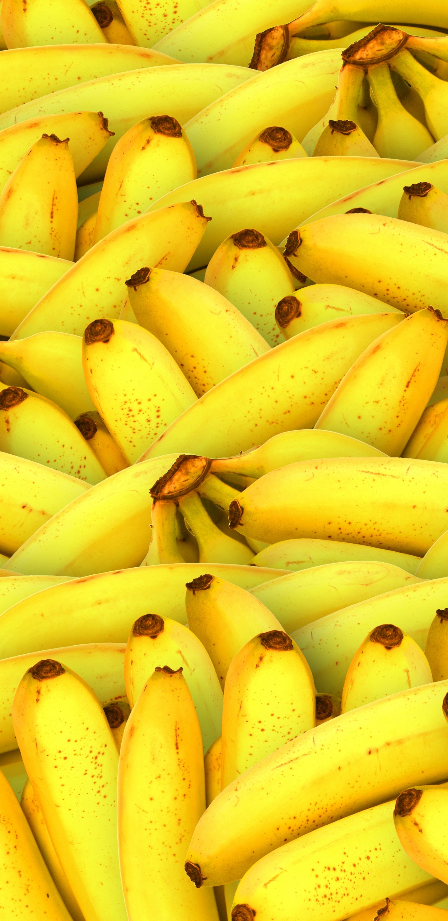 Обои банан, фрукты, природные продукты, желтый, пища в разрешении 1440x2960