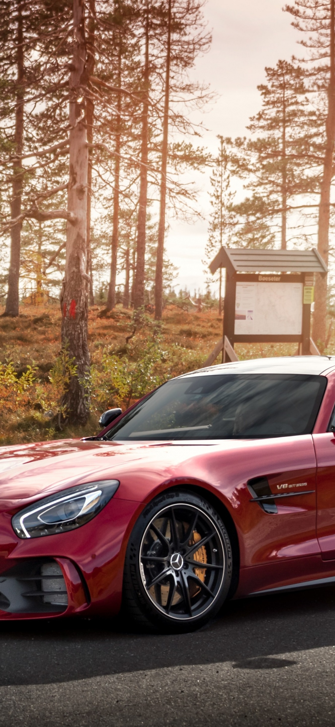 Обои Daimlerchrysler AMG GT, mercedes benz, легковые автомобили, спорткар, nissan gt r в разрешении 1125x2436