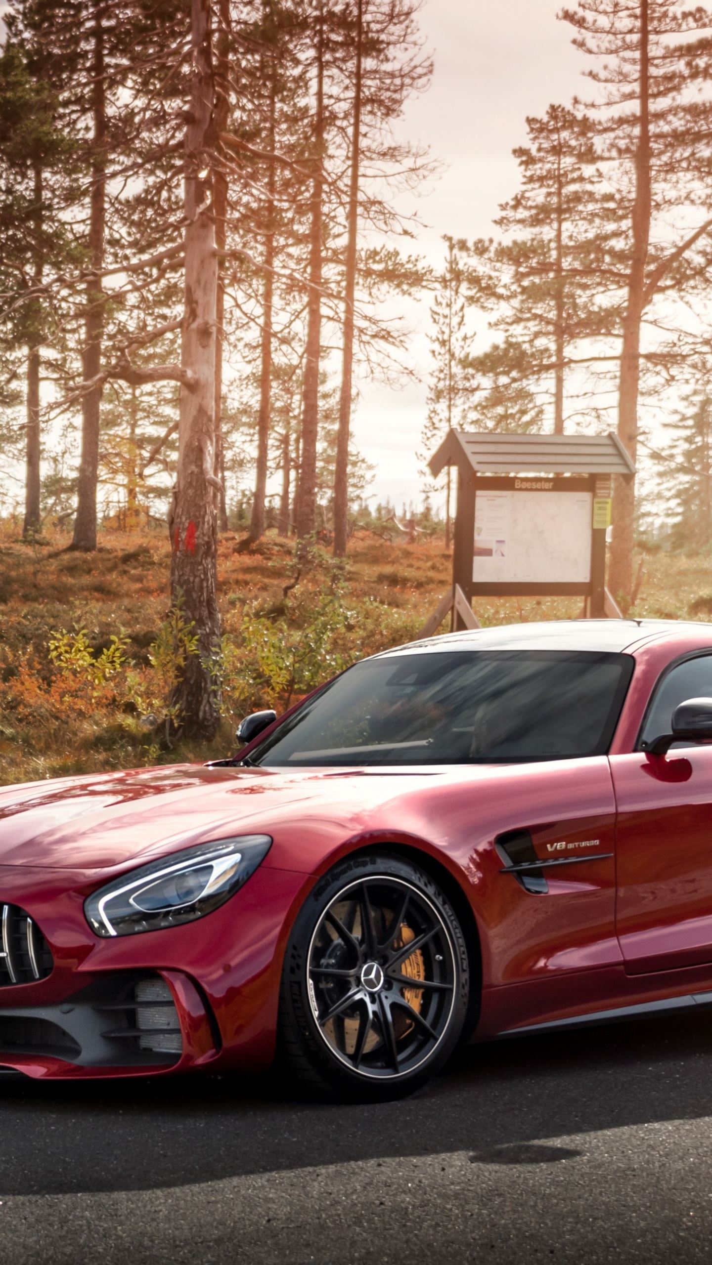 Обои Daimlerchrysler AMG GT, mercedes benz, легковые автомобили, спорткар, nissan gt r в разрешении 1440x2560