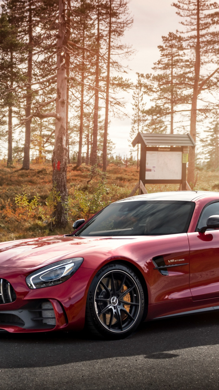Обои Daimlerchrysler AMG GT, mercedes benz, легковые автомобили, спорткар, nissan gt r в разрешении 750x1334