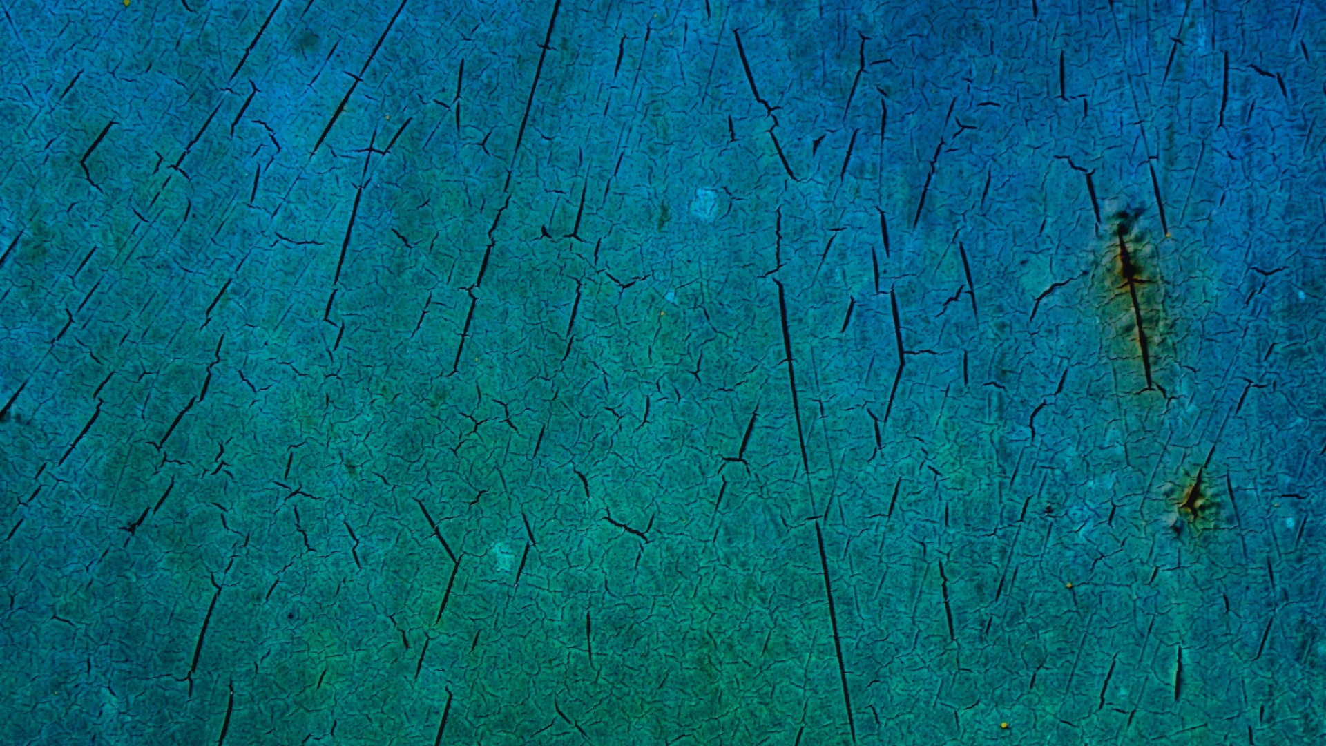 Обои зеленый, синий, Аква, бирюза, чирок в разрешении 1920x1080