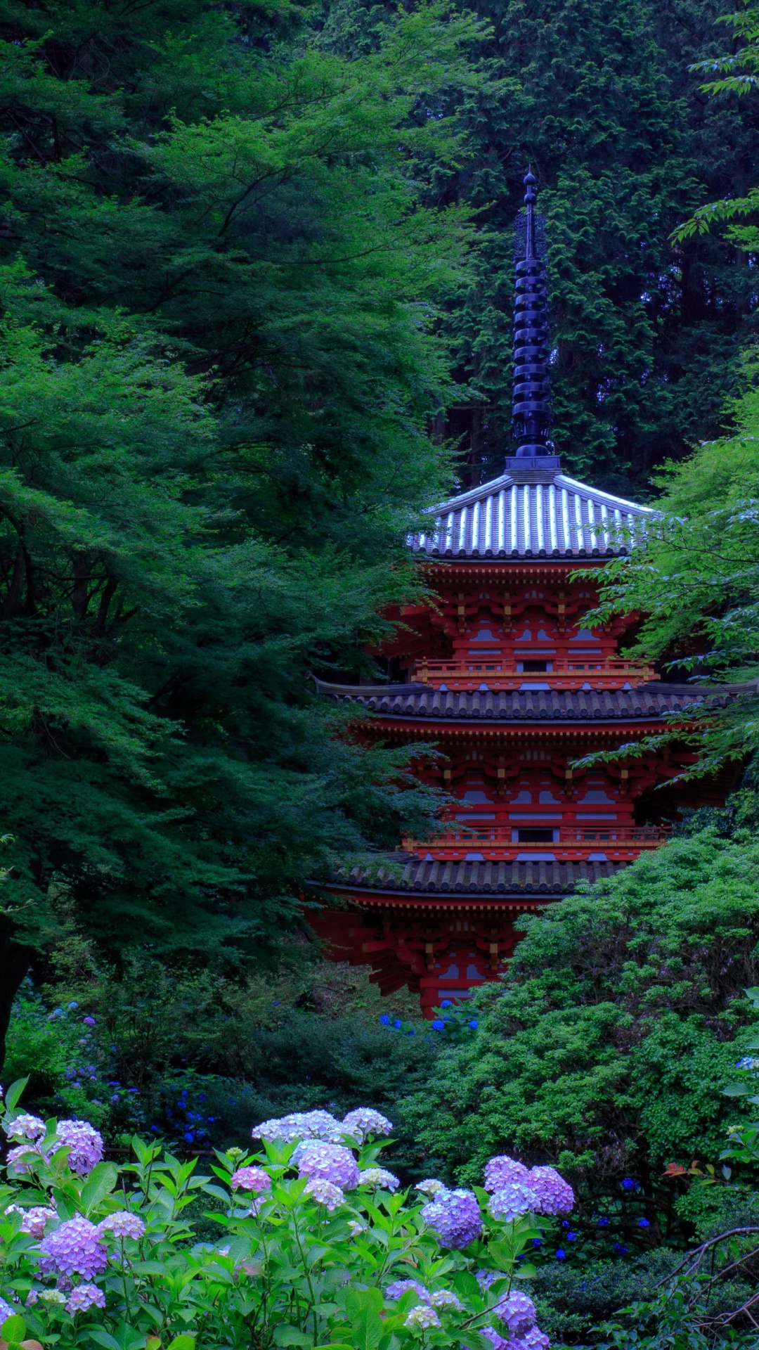 Обои Япония, сад, японский сад, дерево, природа в разрешении 1080x1920