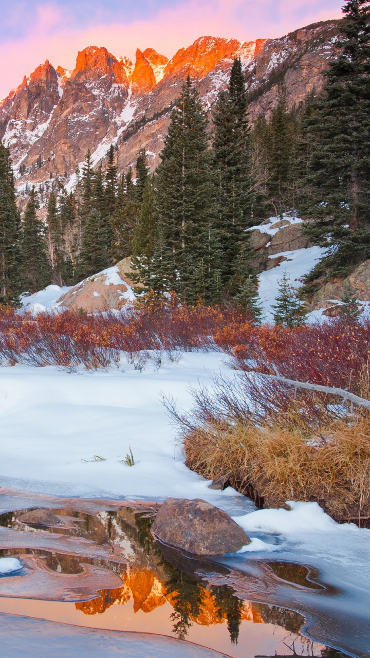 Обои Эстес-Парк, зима, снег, национальный парк, природа в разрешении 720x1280