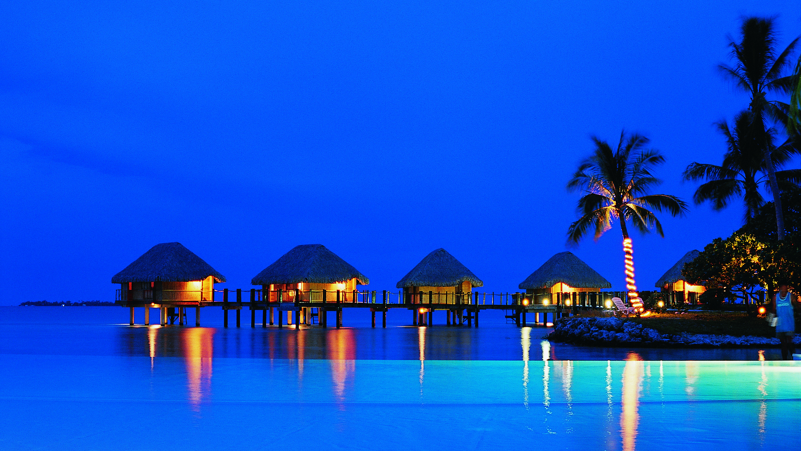 Обои пляж, море, синий, тропическая зона, прибежище в разрешении 2560x1440