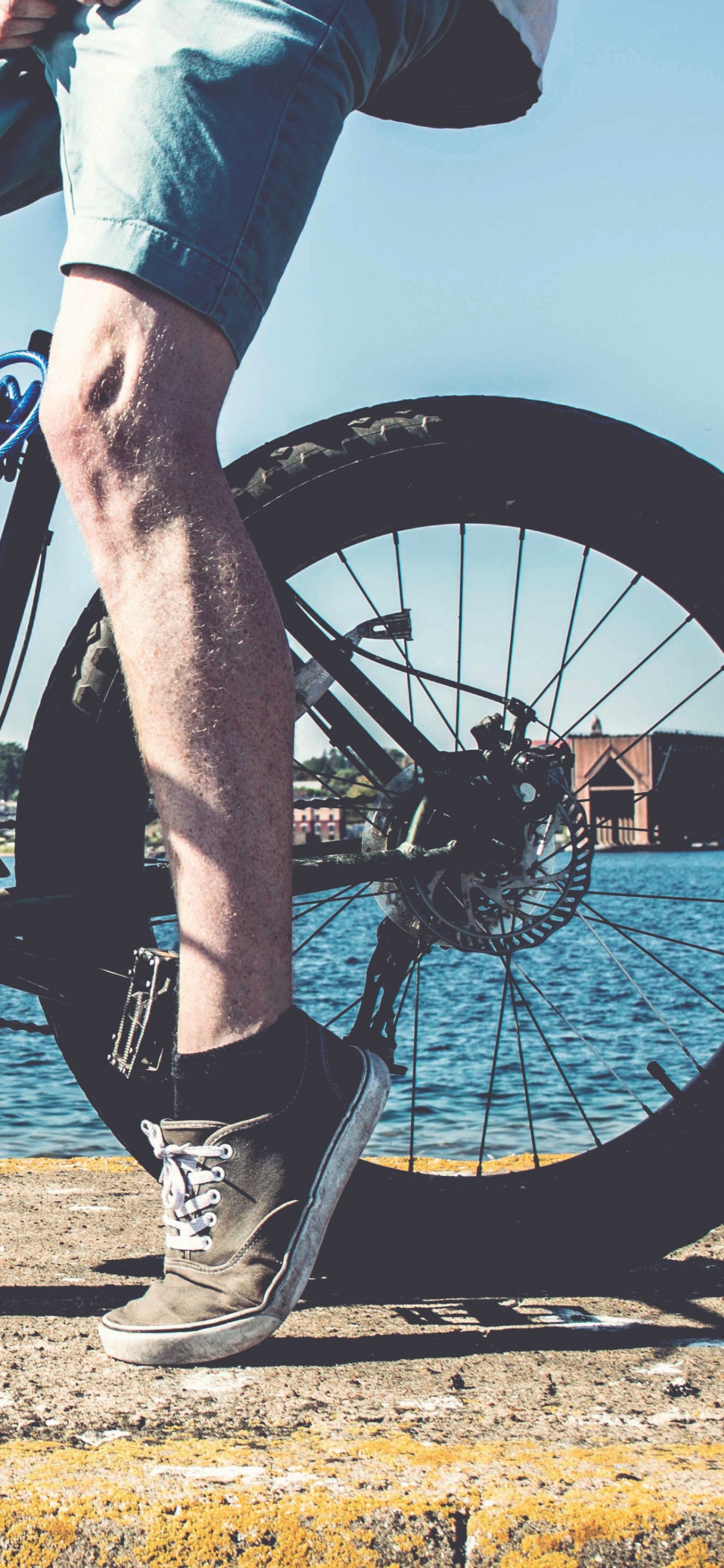 Обои велосипед, велосипедное седло, велосипедное колесо, велосипедный спорт, велосипедная рама в разрешении 1242x2688