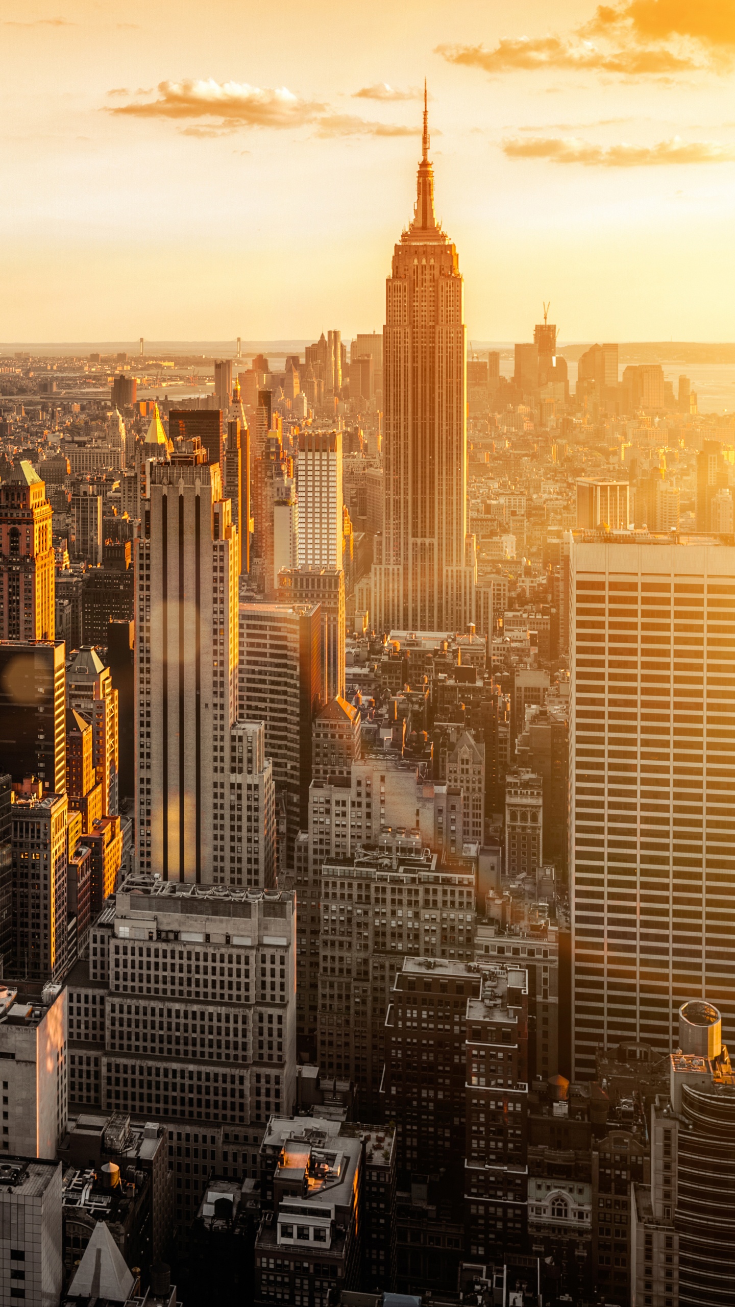 Обои линия горизонта, город, городской пейзаж, метрополия, городской район в разрешении 1440x2560