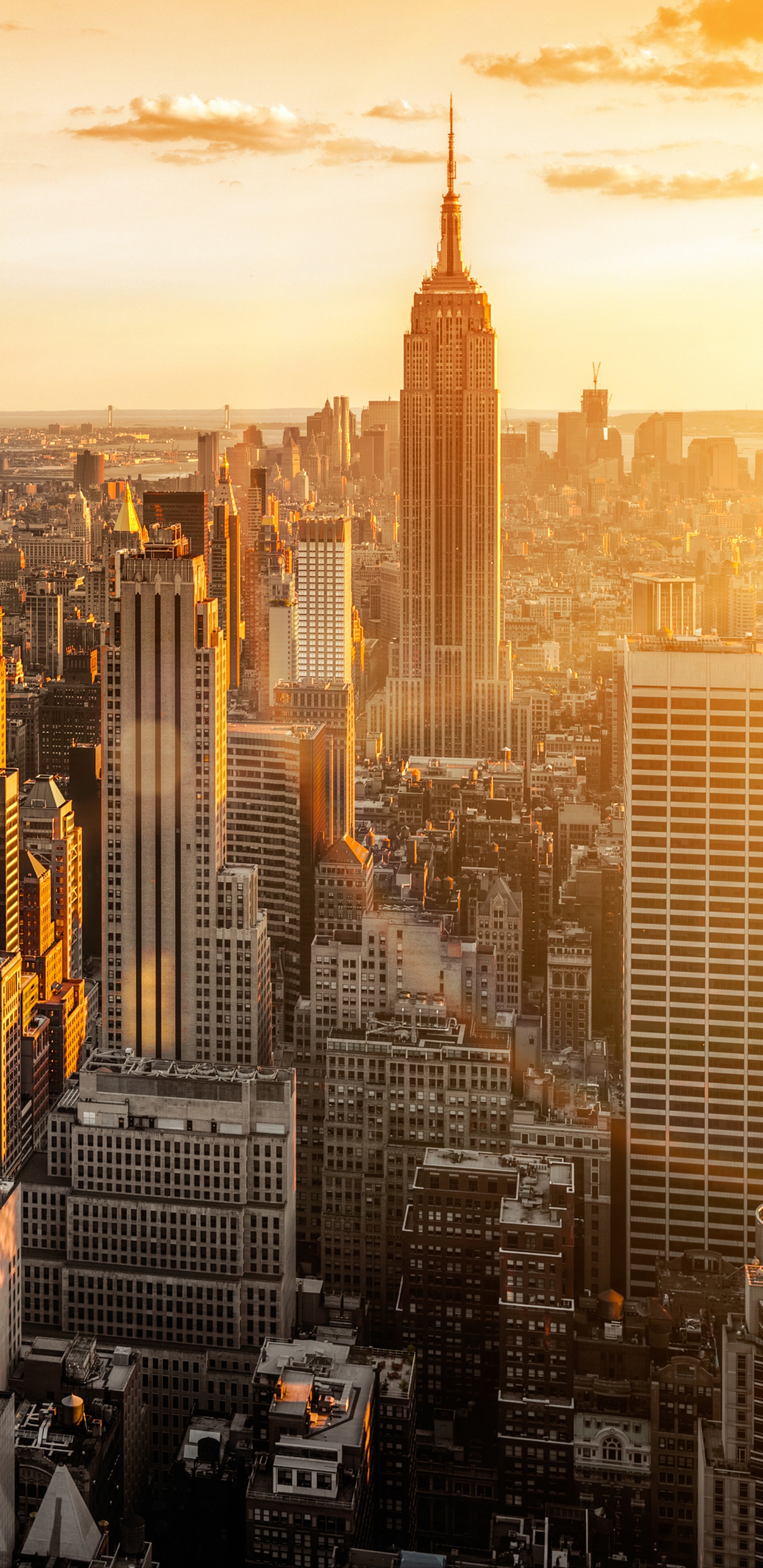 Обои линия горизонта, город, городской пейзаж, метрополия, городской район в разрешении 1440x2960