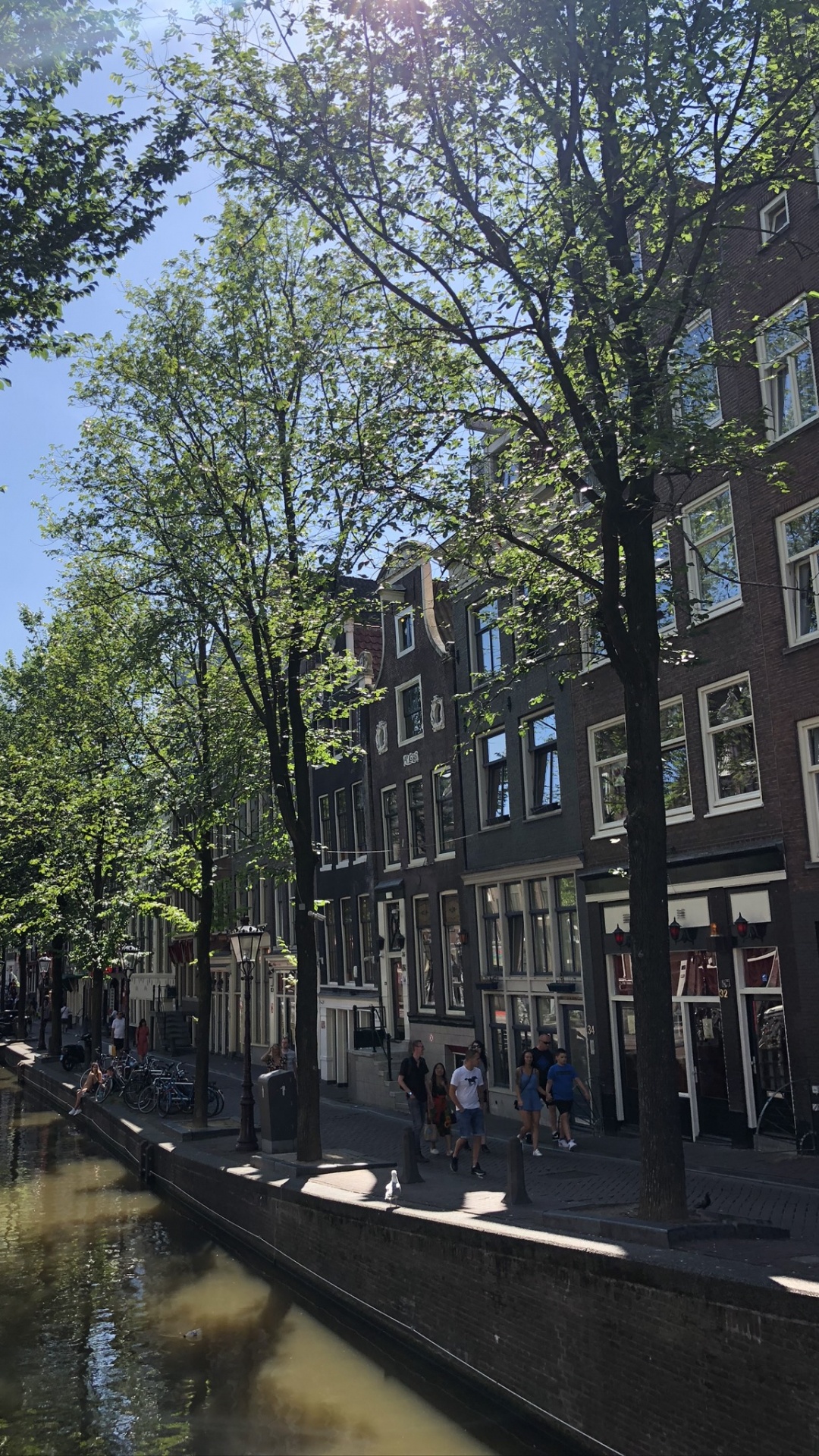 Обои канал, вода, водоток, дерево, окно в разрешении 1080x1920