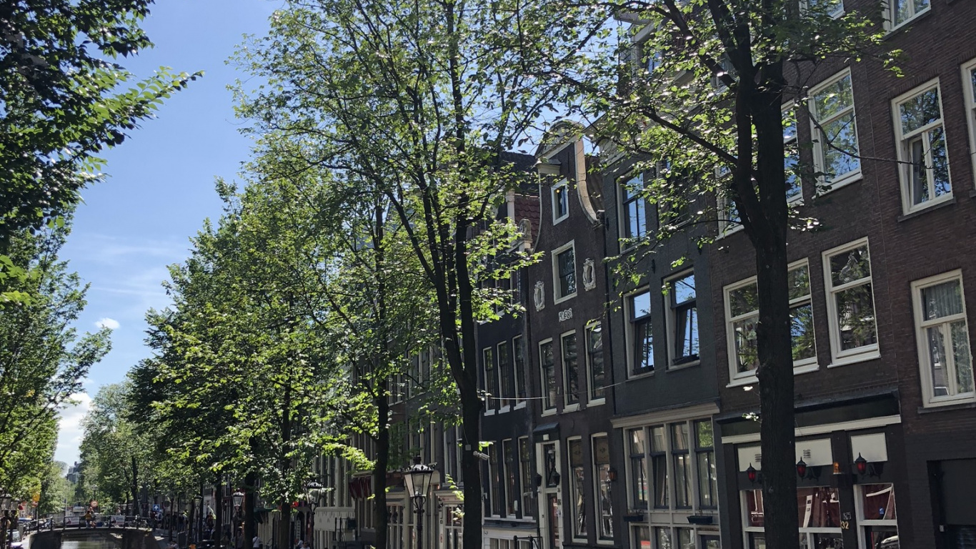 Обои канал, вода, водоток, дерево, окно в разрешении 1366x768