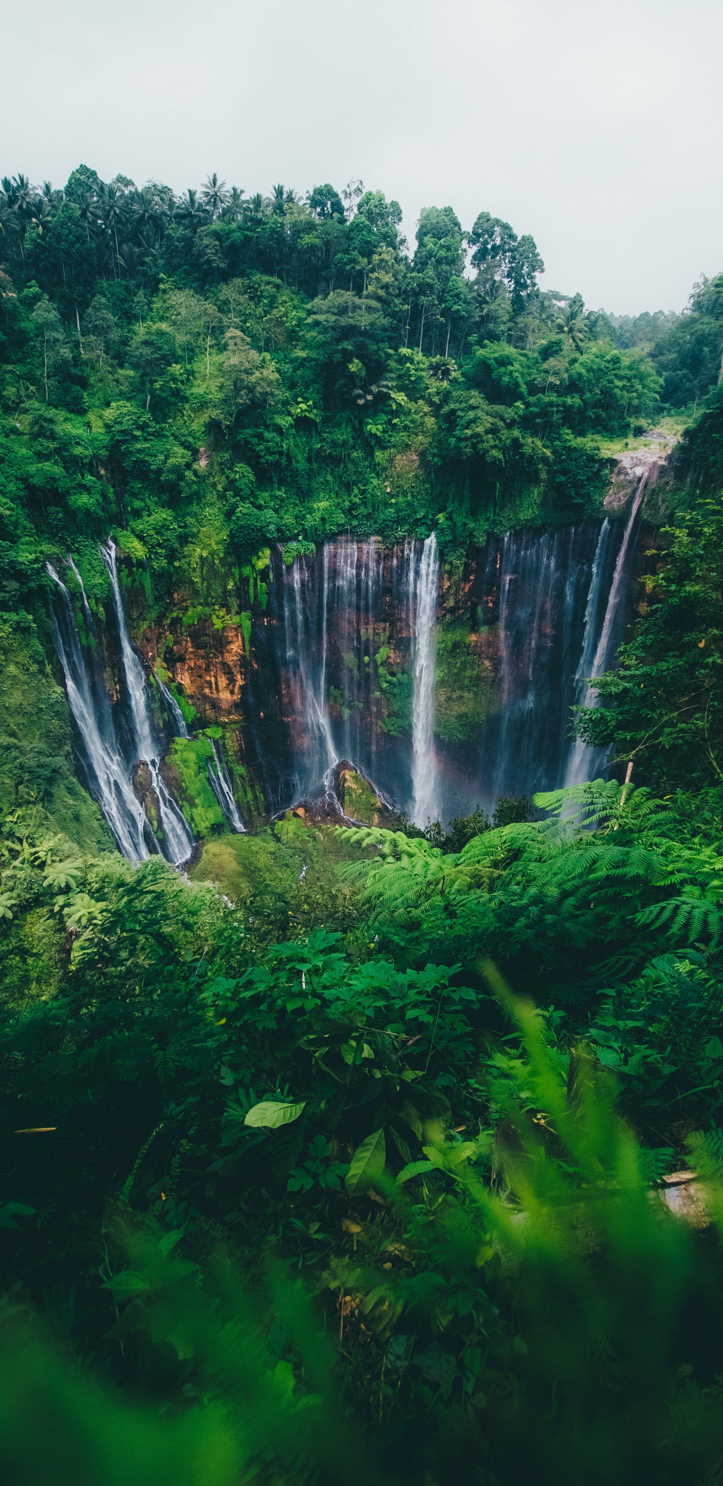 Обои водопад, природный ландшафт, природа, гидроресурсы, водоем в разрешении 1440x2960