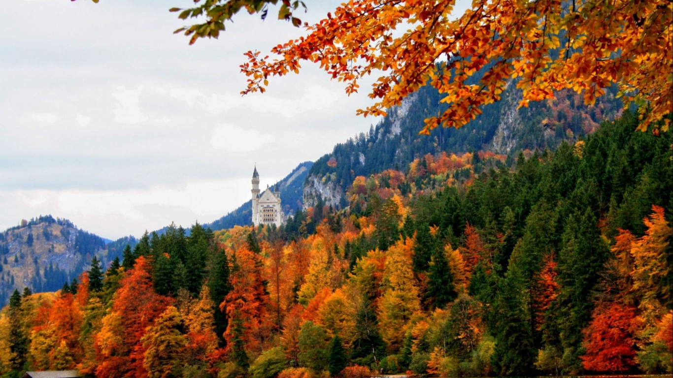 Обои замок Нойшванштайн, замок, дерево, природа, лист в разрешении 1366x768