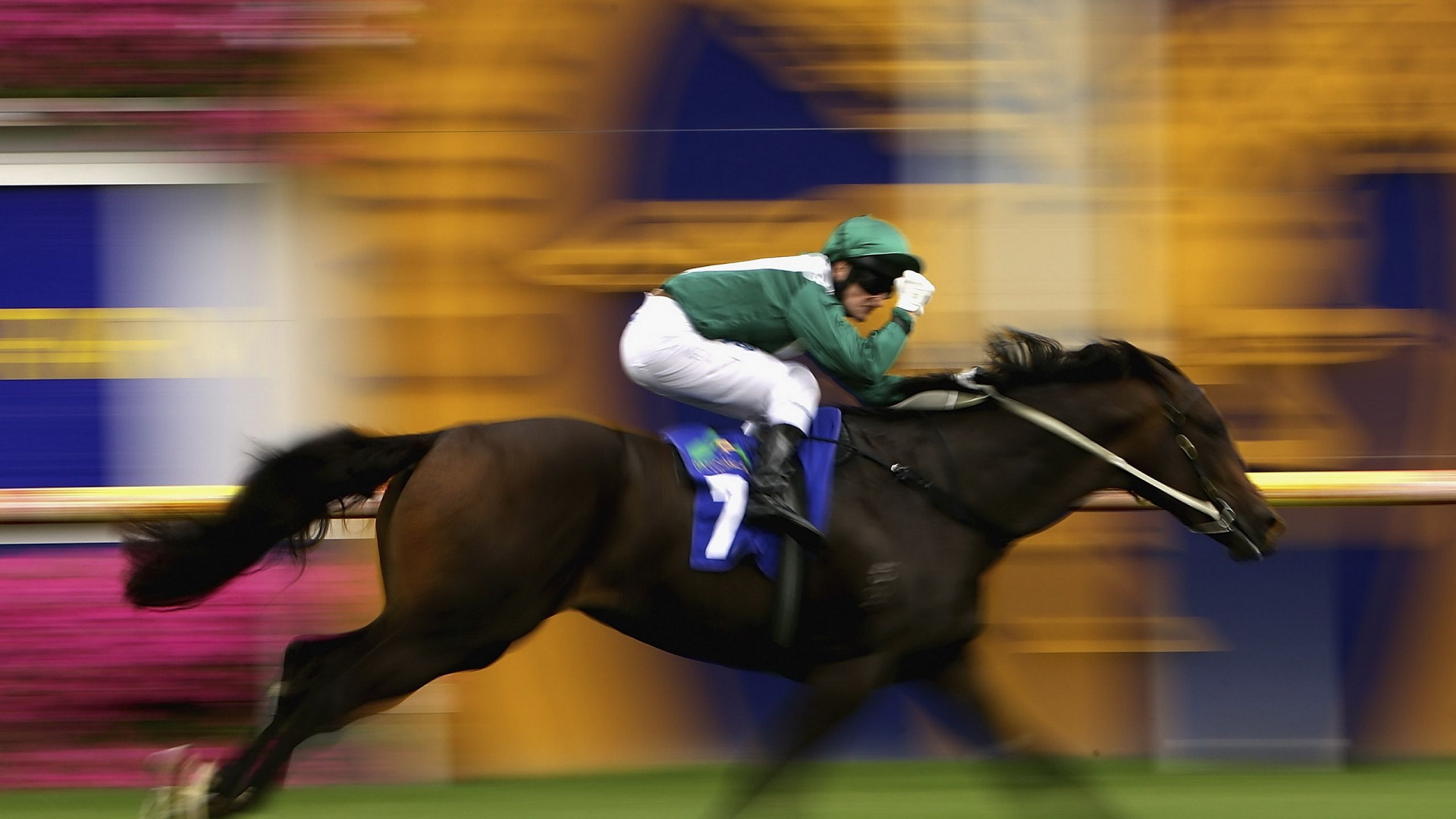 Обои конь, скачки, гоночный, жокей, животных спорт в разрешении 1920x1080