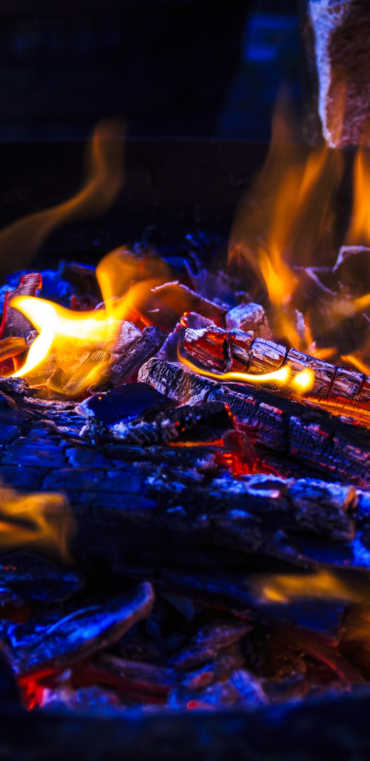 Обои огонь, пламя, тепло, зола, древесный уголь в разрешении 1440x2960