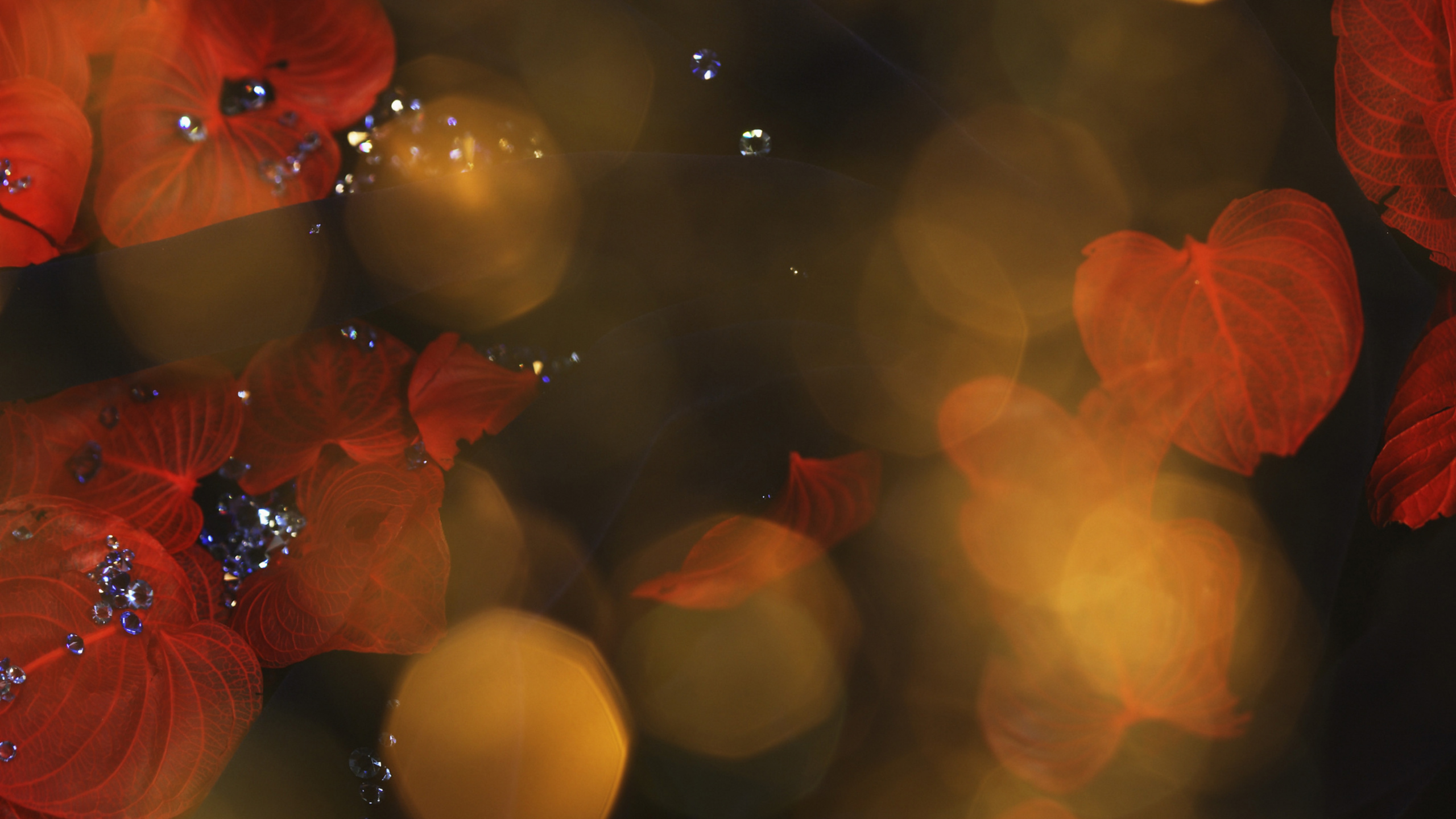 Обои боке, красный цвет, свет, лист, ночь в разрешении 2560x1440