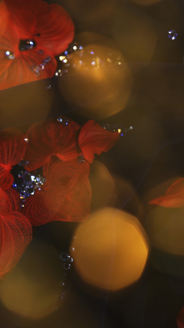 Обои боке, красный цвет, свет, лист, ночь в разрешении 720x1280